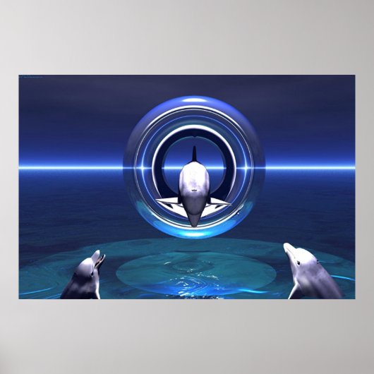 Dolphin Dreams Poster (Voorkant)