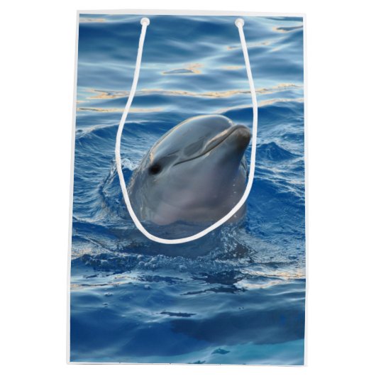 Dolphin Face in Ocean Cute Photo Medium Cadeauzakje (Achterkant)