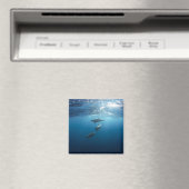Dolphin Family Underwater Magneet (Insitu (Vaatwasser))