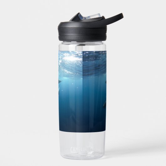 Dolphin Family Underwater Waterfles (Links)