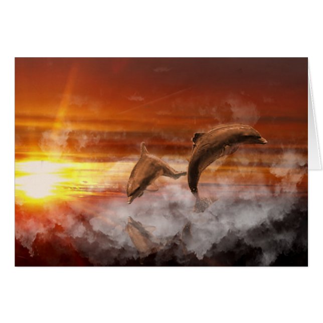 Dolphin Fantasy (Voorkant Horizontaal)