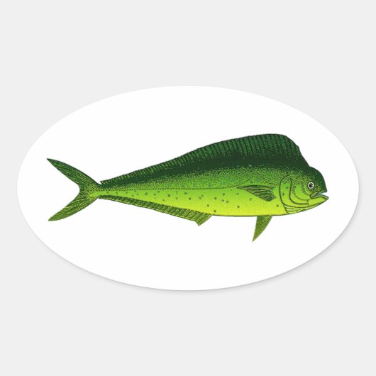 Dolphin Fish - Dorado - Mahi Mahi Ovale Sticker (Voorkant)