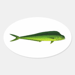 Dolphin Fish - Dorado - Mahi Mahi Ovale Sticker