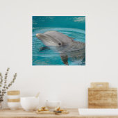 Dolphin Friend Poster (Keuken)