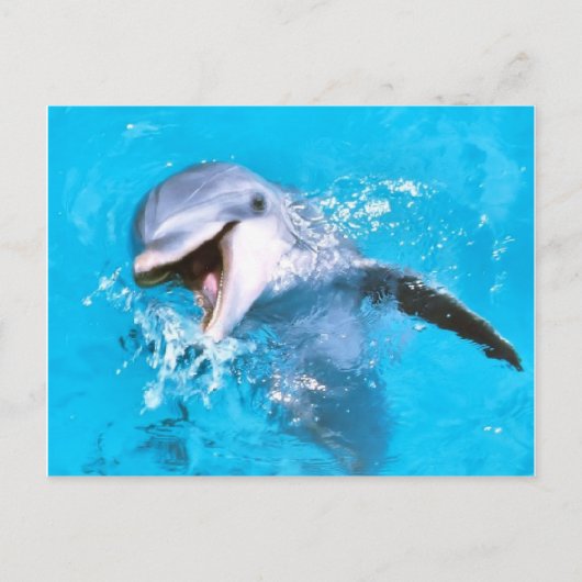 Dolphin glimlachen 2 briefkaart (Voorkant)