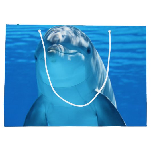 Dolphin Groot Cadeauzakje (Achterkant)