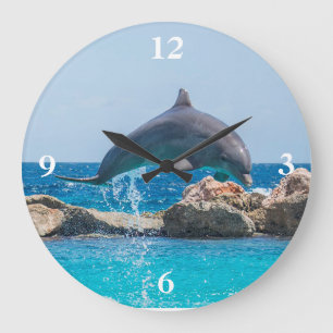 Dolphin Grote Klok