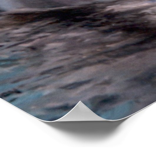 DOLPHIN HEAD POSTER (Hoek)