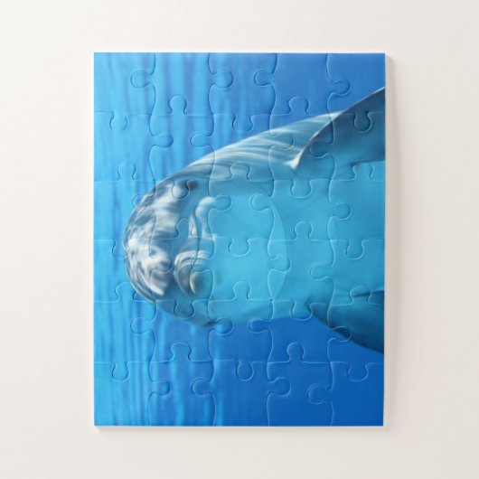 DOLPHIN JIGSAW PUZZLE (Vertical)