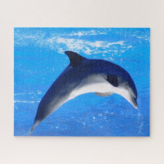 Dolphin Jigzaag Puzzle Legpuzzel (Horizontaal)