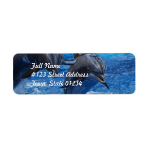 Dolphin Jumping Verzendlabels Etiket