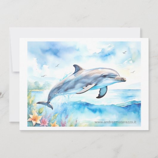 Dolphin Kaart (Voorkant)