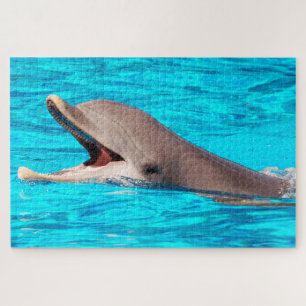 Dolphin Legpuzzel