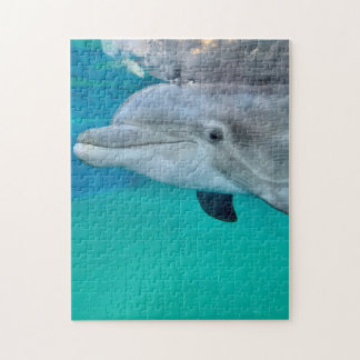Dolphin Legpuzzel