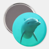 Dolphin Magneet (Voorkant / Achterkant)