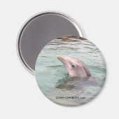 Dolphin Magnet Magneet (Voorkant / Achterkant)