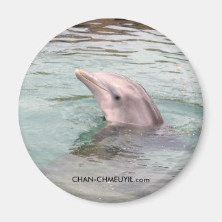 Dolphin Magnet Magneet