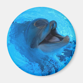 Dolphin Magnet Magneet