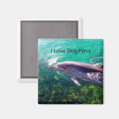 Dolphin Magnet Magneet (Voorkant / Achterkant)