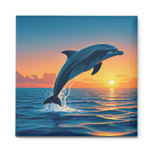 Dolphin Magnet
