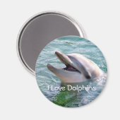 Dolphin Magnet Magneet (Voorkant / Achterkant)