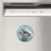 Dolphin Magnet Magneet (Insitu (Vaatwasser))