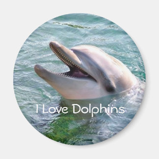 Dolphin Magnet Magneet