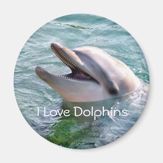 Dolphin Magnet Magneet (Voorkant)