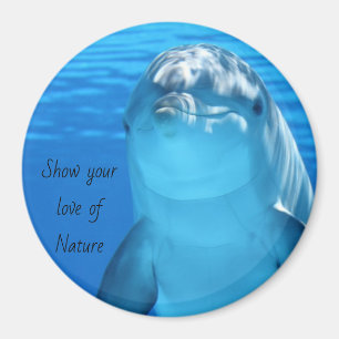 Dolphin Message Magnet Magneet