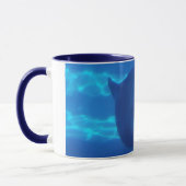 Dolphin Mok (Links)