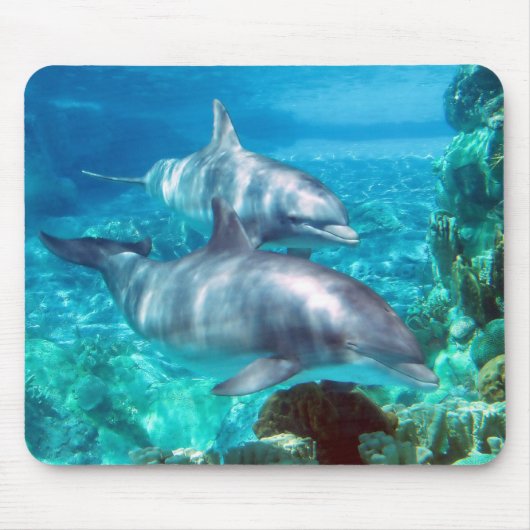 Dolphin Mousepad Muismat (Voorkant)