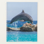 Dolphin Planner (Voorkant)