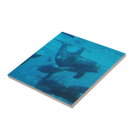 Dolphin Play Tile Tegeltje (Zijkant)