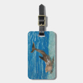 Dolphin Pose Bagagelabel (Voorkant verticaal)