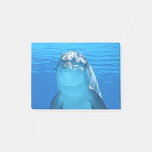 Dolphin Post-it® Notes (Voorkant)