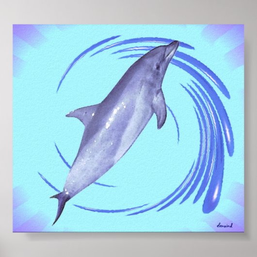Dolphin Poster (Voorkant)