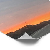 DOLPHIN POSTER (Hoek)