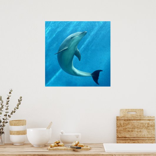Dolphin Poster (Keuken)