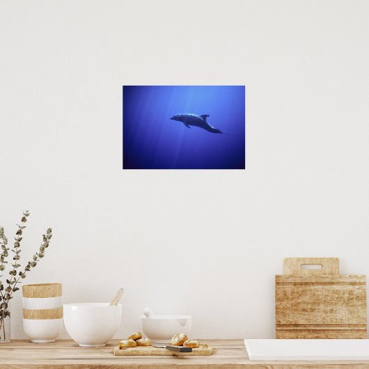 Dolphin Poster (Keuken)