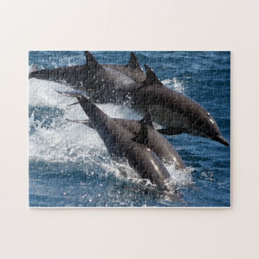 Dolphin Puzzle Legpuzzel (Horizontaal)