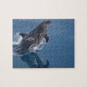 Dolphin Puzzle Legpuzzel (Horizontaal)