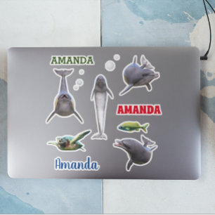 Dolphin Sea Life Set Naam Monogram Sticker