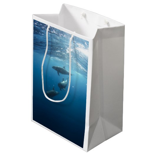 Dolphin-serie Medium Cadeauzakje (Achterkant Gekanteld)