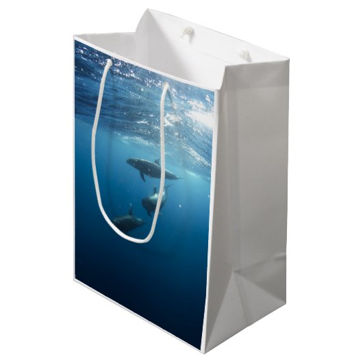 Dolphin-serie Medium Cadeauzakje (Voorkant Gekanteld)