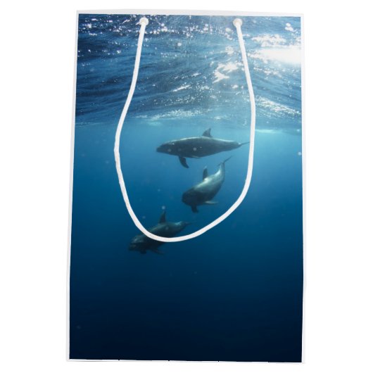 Dolphin-serie Medium Cadeauzakje (Achterkant)