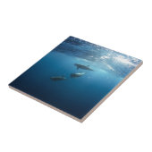 Dolphin-serie Tegeltje (Zijkant)