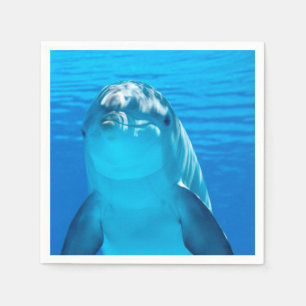 Dolphin Servet