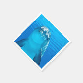 Dolphin Servet (Hoek)