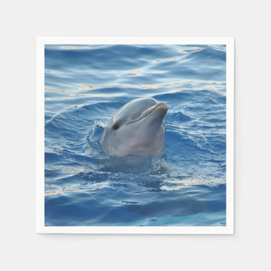 Dolphin Servet (Voorkant)
