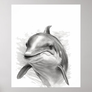 Dolphin Sketch Portret zwart wit Poster